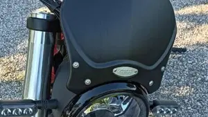 Benelli Leoncino 500 (2021 - 25)  (6)