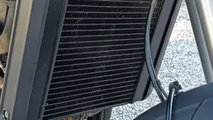 Benelli Leoncino 500 (2021 - 25)  (8)