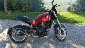 Benelli Leoncino 500 (2021 - 25)  (10)