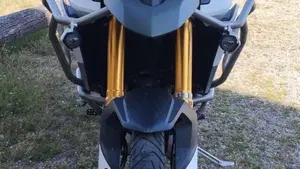 Triumph Tiger 900 Rally Pro (2020 - 23)  (3)