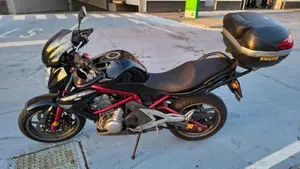 Kawasaki ER-6N (2006 - 09)  (2)