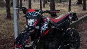 Aprilia SX 125 (2021 - 24) 