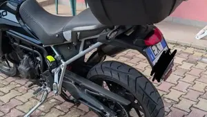 Triumph Tiger 900 GT Pro (2020 - 23)  (6)