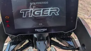 Triumph Tiger 900 GT Pro (2020 - 23)  (8)