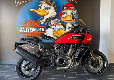 Harley-Davidson Pan America 1250 Special (2020 - 25) - Annuncio 9996868
