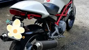 Ducati Monster 600 (1994 - 02)  (5)