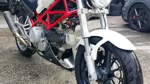 Ducati Monster 600 (1994 - 02)  (6)