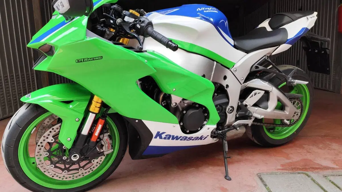 Kawasaki Ninja 1000 ZX-10R 40th Anniversary Edition (2024)  (3)