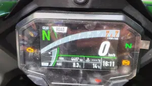 Kawasaki Ninja 1000 ZX-10R 40th Anniversary Edition (2024)  (8)