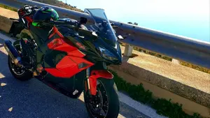 Kawasaki Ninja 1000 SX 40th Anniversary Edition (2024)  (2)