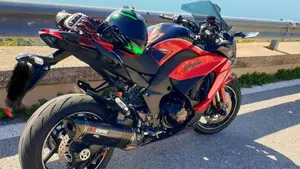 Kawasaki Ninja 1000 SX 40th Anniversary Edition (2024)  (3)