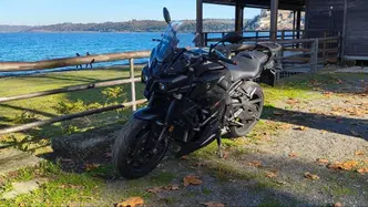 Yamaha MT-10 (2017 - 20) usata
