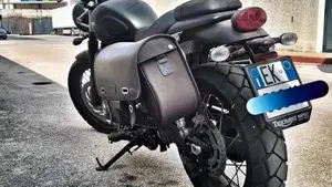 Triumph Street Scrambler 900 (2017 - 18)  (3)