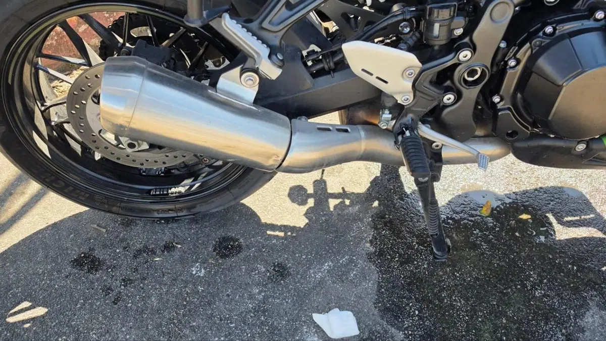 Kawasaki Z 900 RS (2018 - 20)  (4)
