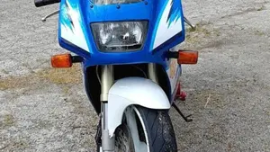 Suzuki   (2)