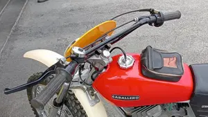 Fantic Motor   (6)