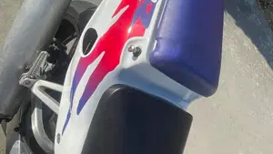 Honda CBR 900 RR (1994 - 95)  (8)