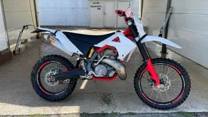 GASGAS EC 300 Six Days (2010 - 11)  (2)