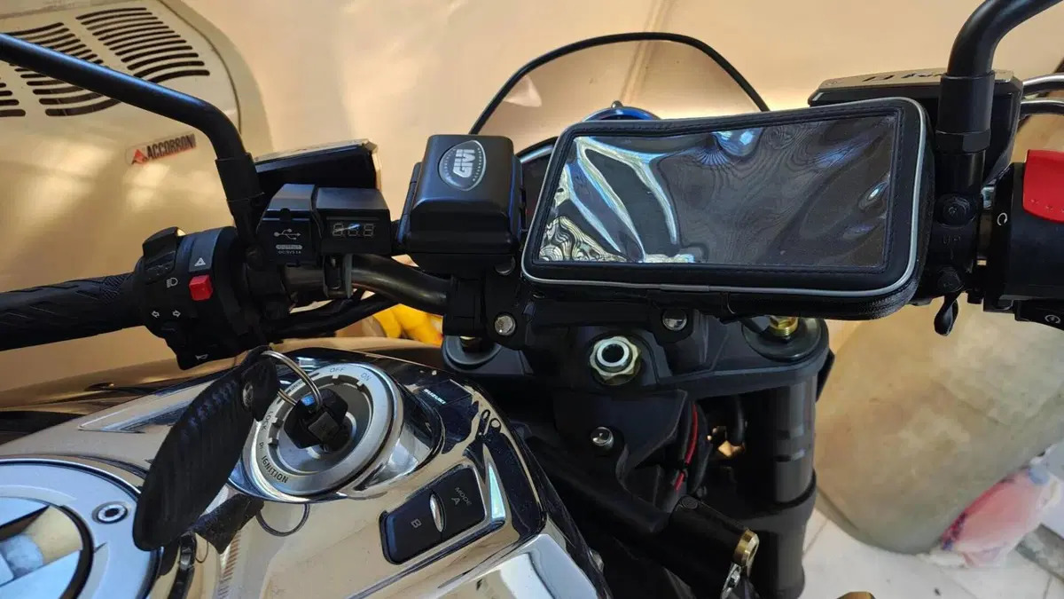 Suzuki B-King GSX 1300  (5)
