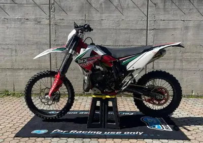 GASGAS EC 300 Six Days (2010 - 11) - Annuncio 9997489