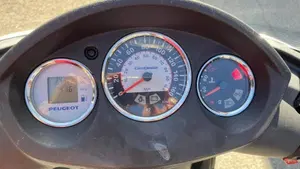 Peugeot Geopolis 300 R (2014 - 15)  (4)