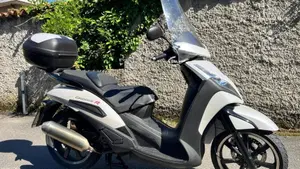 Peugeot Geopolis 300 R (2014 - 15)  (6)