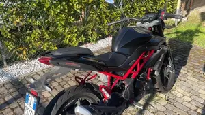 Benelli BN 125 (2021 - 25)  (3)