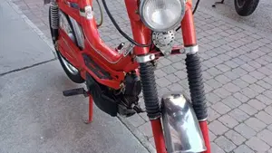 Rizzato   (3)