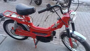 Rizzato   (5)