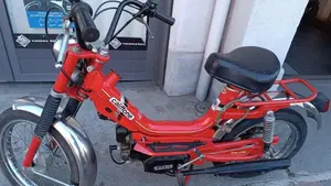 Rizzato   (6)