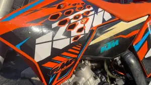 KTM 125 EXC (2009)  (19)