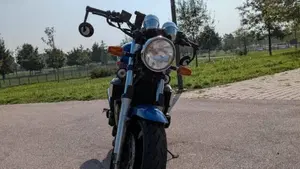 Yamaha XJR 1300 (1999 - 02)  (5)