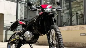 Yamaha WR 125 R (2009 - 12)  (8)