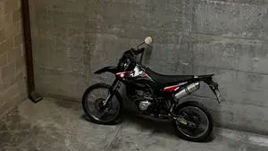 Yamaha WR 125 R (2009 - 12)  (10)