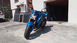 Suzuki GSX-S1000 ABS (2015 - 17)  (3)