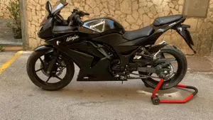 Kawasaki Ninja 250 R (2007 - 13)  (2)