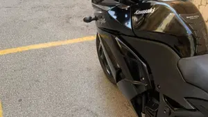 Kawasaki Ninja 250 R (2007 - 13)  (9)