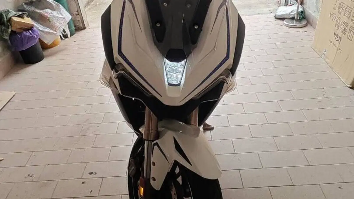 Zontes ZT310-X (2019 - 20)  (6)