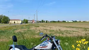 Harley-Davidson 1450 Super Glide 35th Anniversary (2005 - 06) - FXDI 