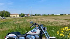 Harley-Davidson 1450 Super Glide 35th Anniversary (2005 - 06) - FXDI  (2)