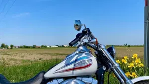 Harley-Davidson 1450 Super Glide 35th Anniversary (2005 - 06) - FXDI  (3)