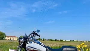 Harley-Davidson 1450 Super Glide 35th Anniversary (2005 - 06) - FXDI  (4)
