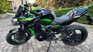 Kawasaki Z 650 Performance (2021 - 24) 