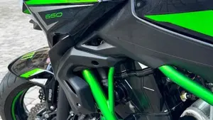 Kawasaki Z 650 Performance (2021 - 24)  (2)