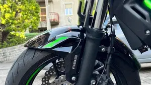 Kawasaki Z 650 Performance (2021 - 24)  (3)