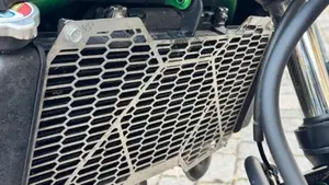 Kawasaki Z 650 Performance (2021 - 24)  (6)