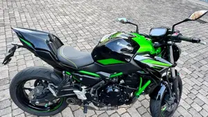 Kawasaki Z 650 Performance (2021 - 24)  (7)