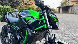 Kawasaki Z 650 Performance (2021 - 24)  (8)