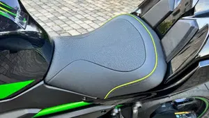 Kawasaki Z 650 Performance (2021 - 24)  (9)