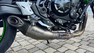 Kawasaki Z 650 Performance (2021 - 24)  (13)